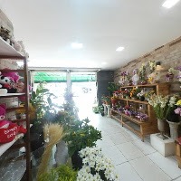Loja física em Santos